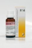 Dr Reckeweg R14 Krople stosowane w leczeniu zaburzeń snu 50 ml