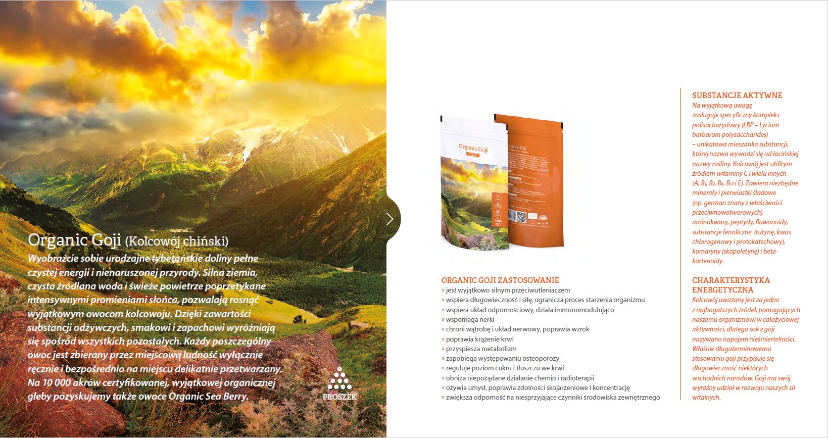 Energy Organic Goji powder proszek 100 gram