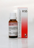 Dr Reckeweg R55 Krople na dolegliwości związane z lekkimi ranami i otarciami skóry 50 ml