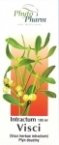Intractum Visci wyciąg z jemioły 100 ml