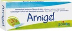 Boiron Arnigel żel 120 g