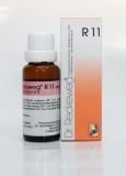 Dr Reckeweg R11 Krople na reumatyzm i schorzenia kręgosłupa 50 ml