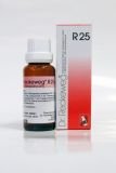 Dr Reckeweg R25 Krople przeciw schorzeniom prostaty 50 ml