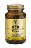 Solgar HCA Naturalny Kwas Hydroksycytrynowy 250 mg 60 kapsułek